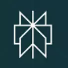 Perplexity 的图标